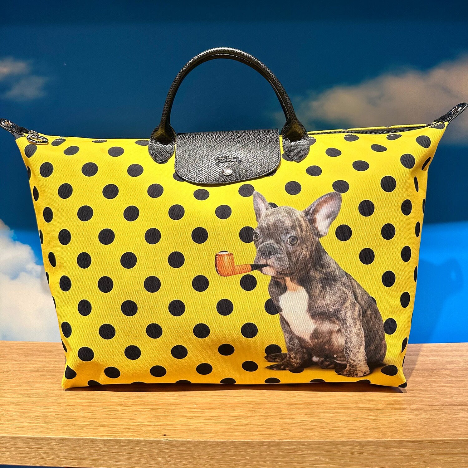 Sac shop longchamp chien